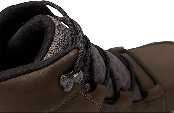 KOALA_4.jpg KOALA_4.jpg